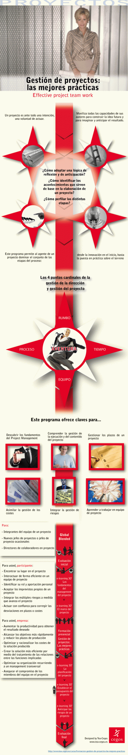 Infografia curso Cegos gestion de proyectos