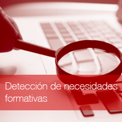 deteccion de necesidades