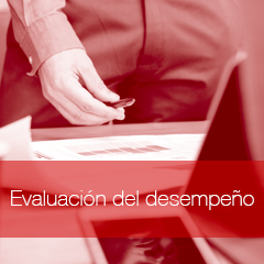 evaluacion del desempeño