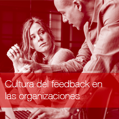 cultura del feedback