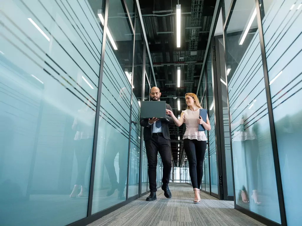 formación en finanzas