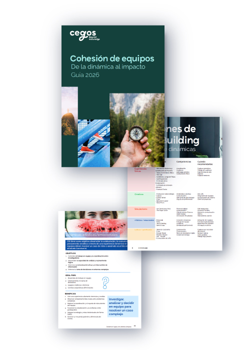 Cohesión de equipos: de la dinámica al impacto