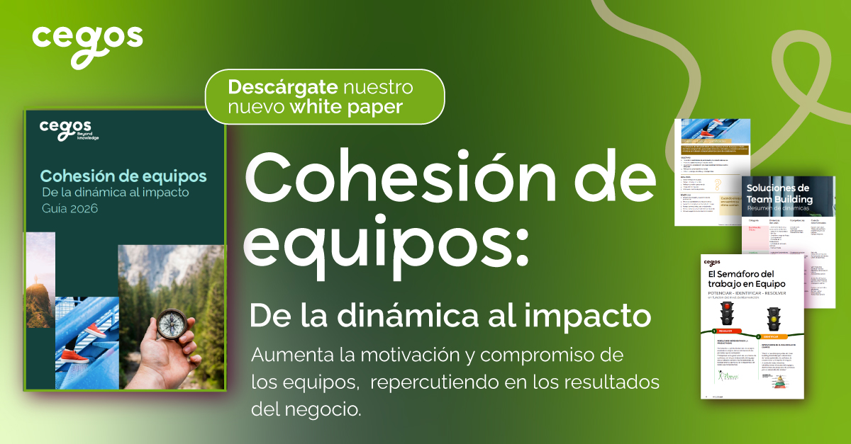 Cohesión de equipos: de la dinámica al impacto