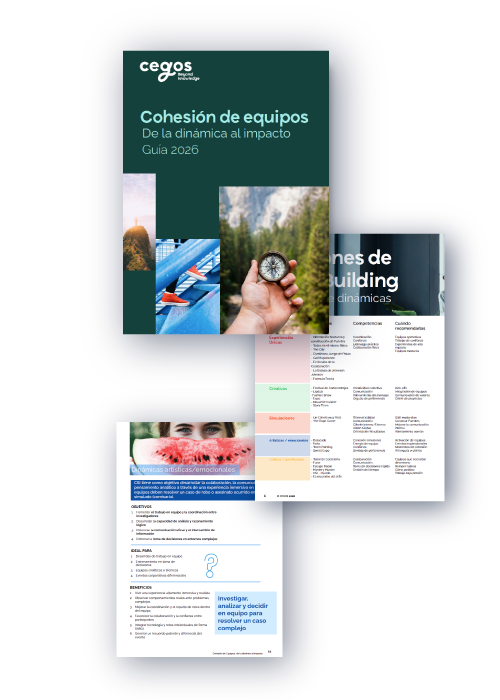 Cohesión de equipos: de la dinámica al impacto
